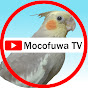 MocofuwaTV【鳥の短編動画】