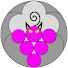 i6HlxoELpZw-channel-avatar-冒険家ブドウ