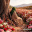 @مريم-و4و4خ