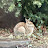 @Greenlight-s4v