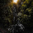 -0nUS5t8tRk-channel-avatar-INTERESSESpt trekking on nature