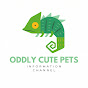 Oddly Cute Pets logo