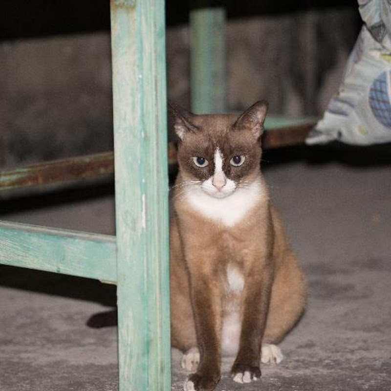 Hiwkhaw