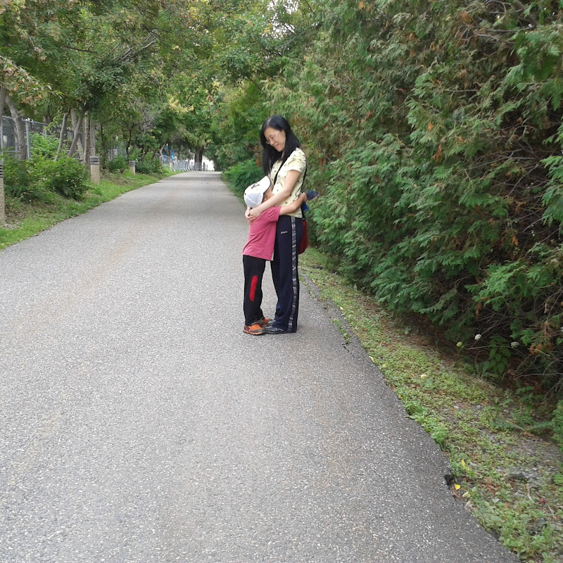 Leslie在澳洲 Logo