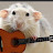rato que toca violão