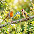 uyDwnyCJcYU-channel-avatar-Wings KK Planet