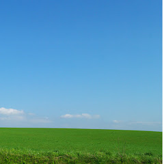 ロッキーの生物学チャンネル