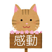 感動と猫
