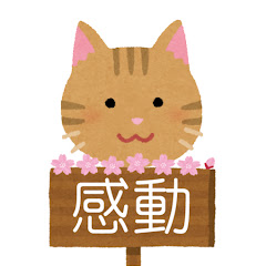 感動と猫