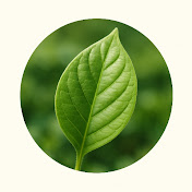 Nature Facts