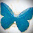 @BlueButterflyAlways