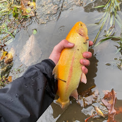 Midwest Fishing