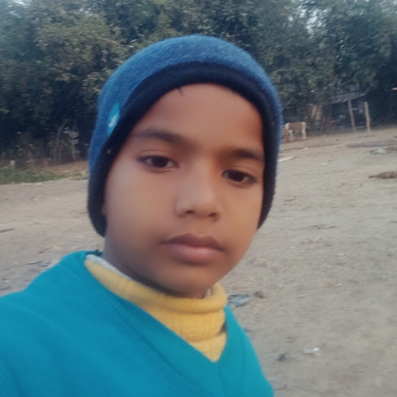 Sahin reja