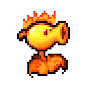 9999HP Image Thumbnail