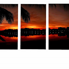 laleyfoto: Centinela del arte