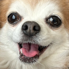 めんま