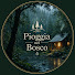 XH2QvnypTwQ-channel-avatar-Pioggia nel Bosco