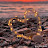 @ملكالنجار-ه4ز
