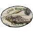 mYgoDXUy8qU-channel-avatar-Mouches Pont Saint Esprit