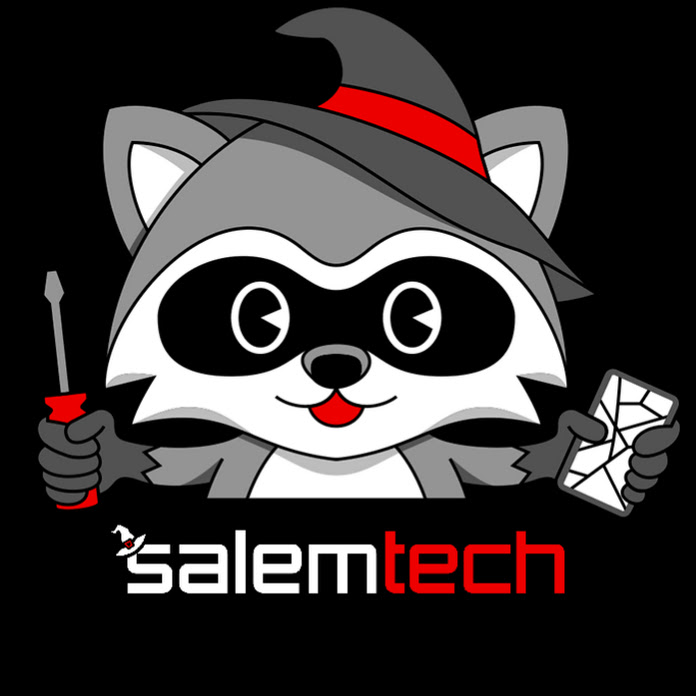 Salem Techsperts Net Worth & Earnings (2024)