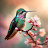 @OmMohammed-f7x6f