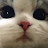 @suolstonemoon262