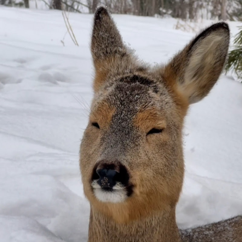 Human Happiness Hall
