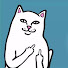 KXm68iT9_3c-channel-avatar-Small wildcat 