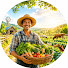 6IjRZJfcuIU-channel-avatar-Sunset Farmer