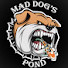 m6cdzPCaYCA-channel-avatar-Mad Dogs Pond