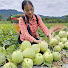 IuDCHhtSNX8-channel-avatar-Farm Country Days