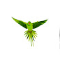 My parrot wifi and me  logo