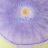 @soundcanvas1450's avatar