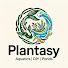 UemFUVKEgj0-channel-avatar-Plantasy