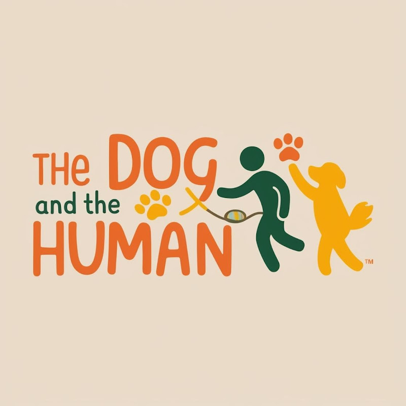 The Dog And The Human