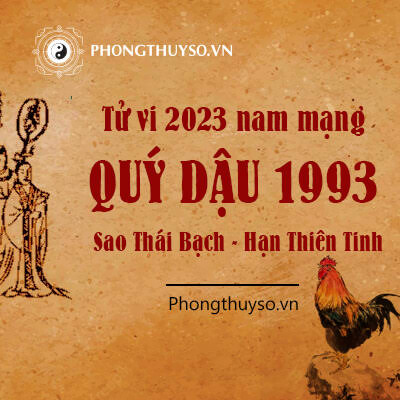 1993 năm 2023 sao gì? Tử vi chi tiết và dự đoán phong thủy