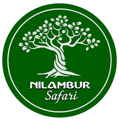 nilambur safari Avatar