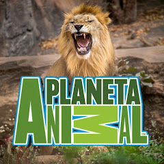 PLANETA ANIMAL channel logo