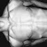 Z6CT7SPB-nc-channel-avatar- Fitness  gym  vloge