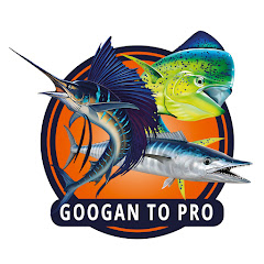 Googan To Pro
