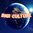 BMR Culture & Quizzes