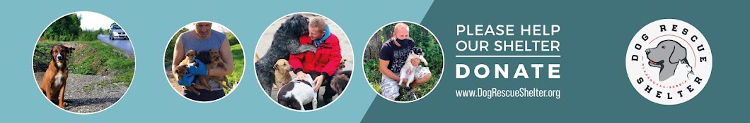 Dog Rescue Shelter Mladenovac YouTube-Kanal-Avatar