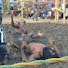 Nt-ShjHnZeo-channel-avatar-UG connect wrestling
