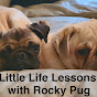  Rocky Pug And Friends  logo