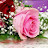 @stores-j6r Avatar