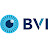 BVI Medical