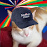 tgoRnum2Mfw-channel-avatar-Meowrovision