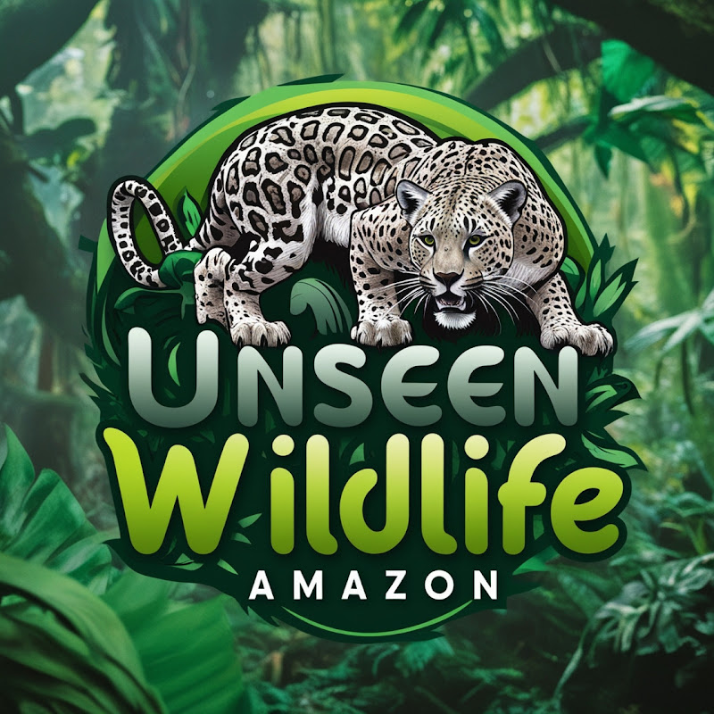 Unseen Wildlife Amazon