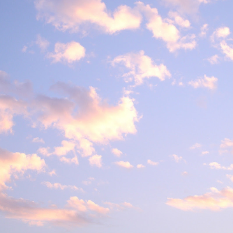 ☀𝐬𝐮𝐧𝐧𝐲_𝐝𝐚𝐲☀