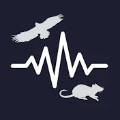 Sleep Sound Channel